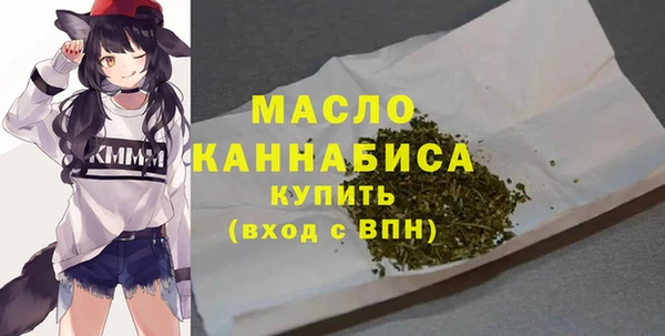 амф Верхний Тагил