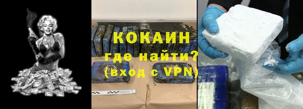 сатива Верея