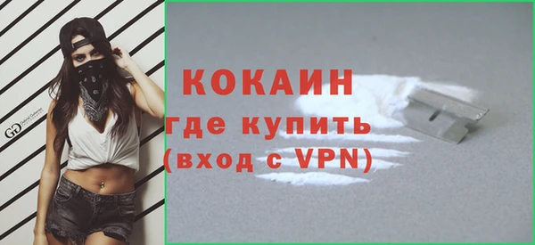 сатива Верея