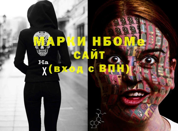 сатива Верея