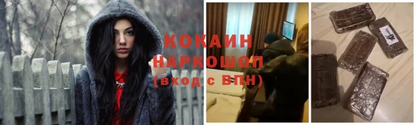 сатива Верея