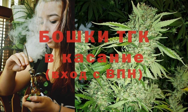амф Верхний Тагил