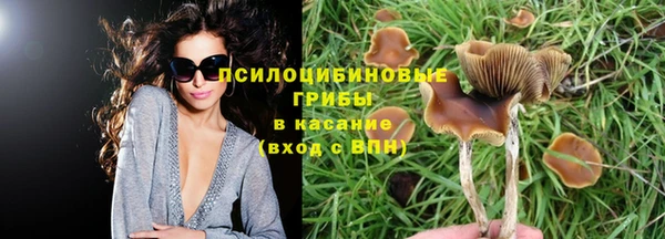 сатива Верея