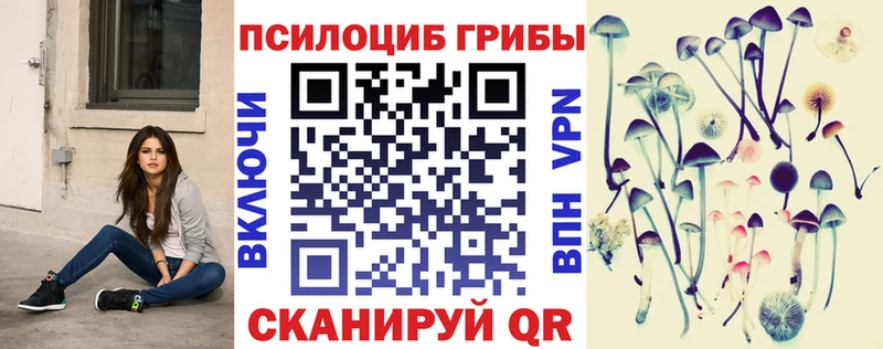 Купить  Тбилисская  Псилоцибиновые грибы MAGIC MUSHROOMS 